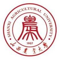学校名称