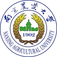 学校名称