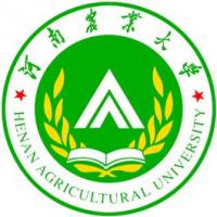 学校名称